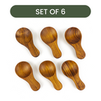 Teak Wood Spice Spoons (Set of 6)